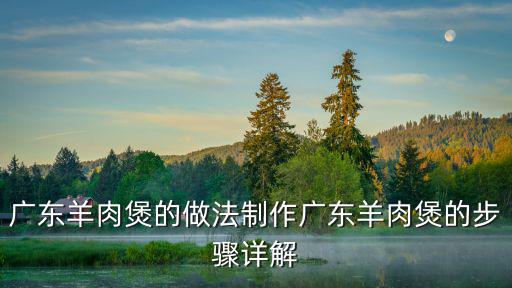 廣東羊肉煲的做法制作廣東羊肉煲的步驟詳解