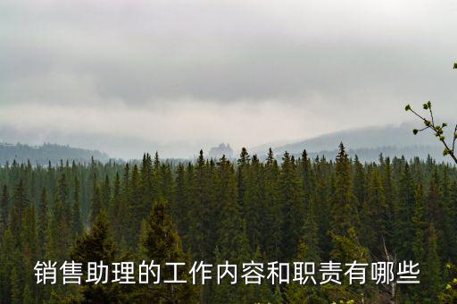 銷售助理的工作內容和職責有哪些