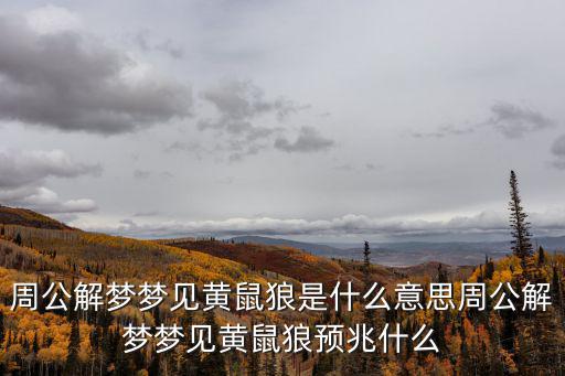 周公解夢夢見黃鼠狼是什么意思周公解夢夢見黃鼠狼預兆什么