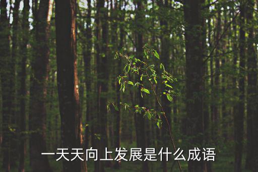 一天天向上發(fā)展是什么成語(yǔ)