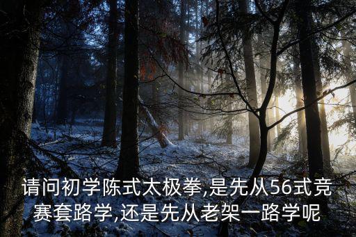 請問初學陳式太極拳,是先從56式競賽套路學,還是先從老架一路學呢