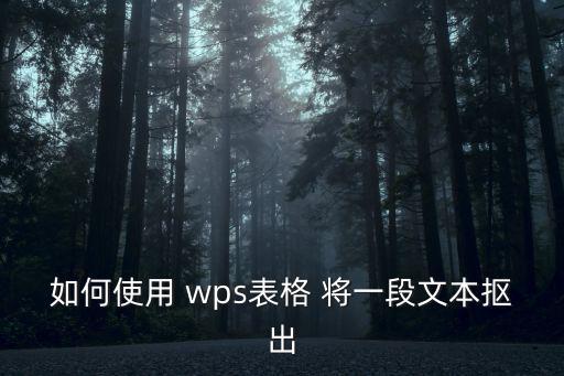 如何使用 wps表格 將一段文本摳出