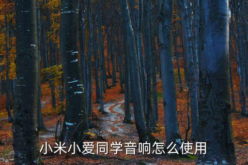 小米小愛同學音響怎么使用