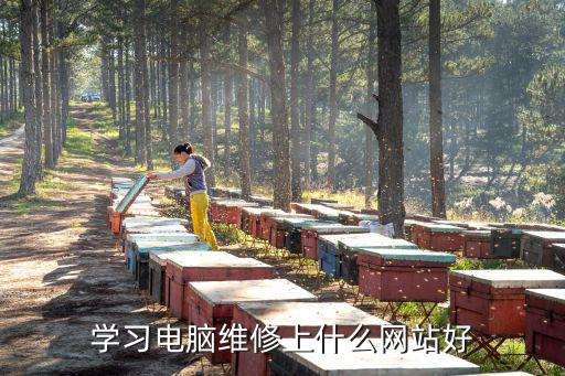 學(xué)習(xí)電腦維修上什么網(wǎng)站好
