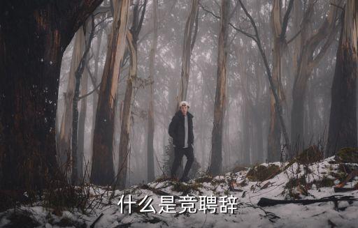 什么是競聘辭