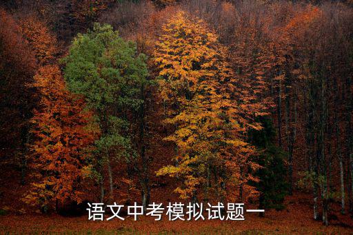 語文中考模擬試題一