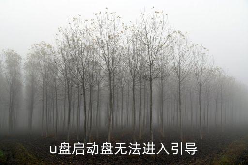 u盤啟動盤無法進入引導