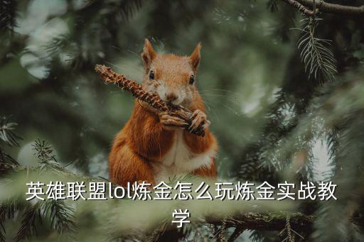 英雄聯盟lol煉金怎么玩煉金實戰教學