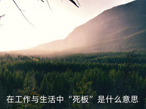 在工作與生活中“死板”是什么意思
