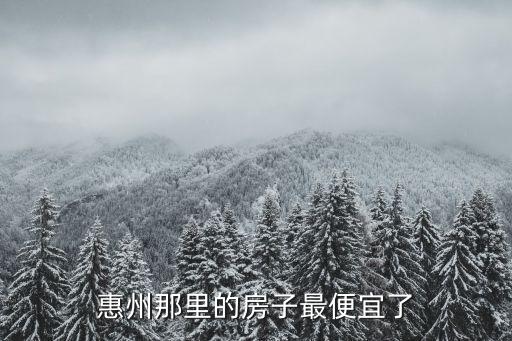 惠州那里的房子最便宜了