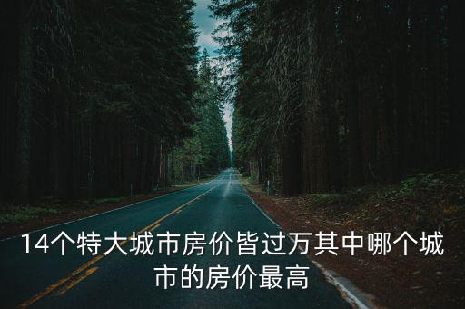 14個特大城市房價皆過萬其中哪個城市的房價最高