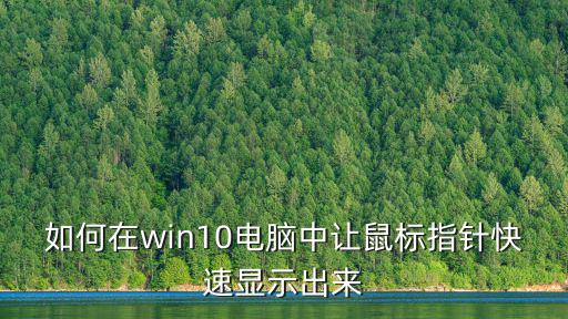 如何在win10電腦中讓鼠標(biāo)指針快速顯示出來