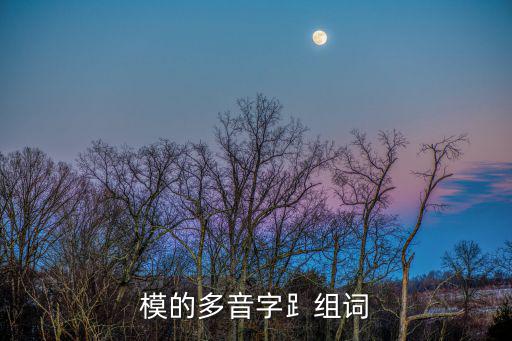 模的多音字?組詞