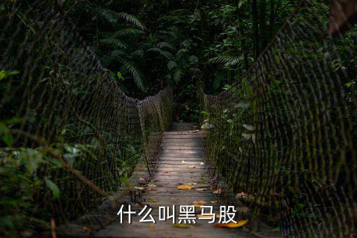 什么叫黑馬股