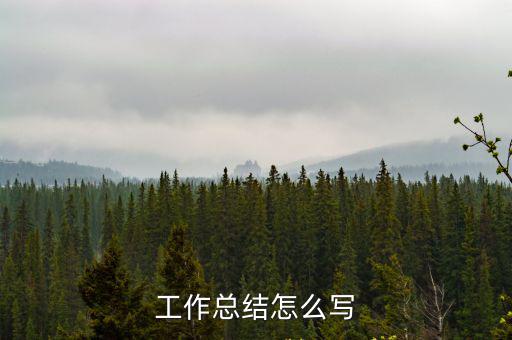 工作總結(jié)怎么寫