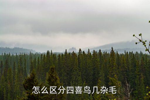 四喜鳥,四喜鳥為中型食蟲籠鳥用畫眉籠飼養最合適