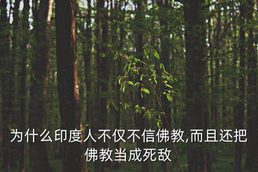 為什么印度人不僅不信佛教,而且還把佛教當成死敵