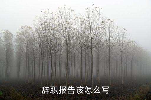 辭職報告該怎么寫