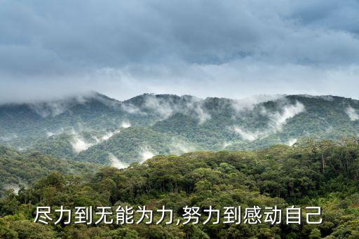 盡力到無能為力,努力到感動自己