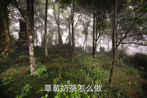 草莓奶茶怎么做