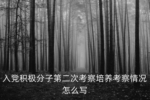 入黨積極分子第二次考察培養(yǎng)考察情況怎么寫