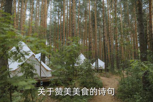 關于贊美美食的詩句