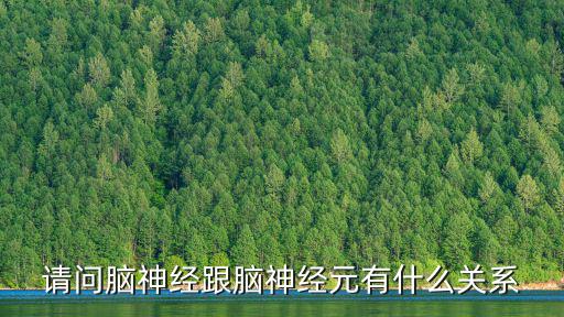 請(qǐng)問腦神經(jīng)跟腦神經(jīng)元有什么關(guān)系
