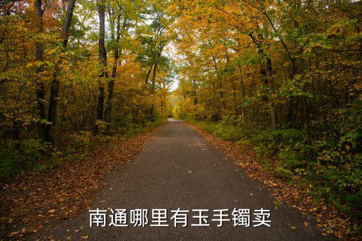南通哪里有玉手鐲賣