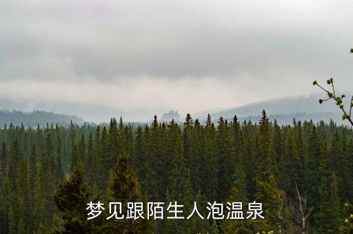 夢見泡溫泉,從山頂到山間泡溫泉的吉兇