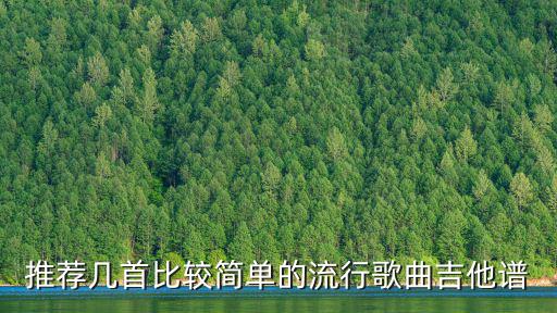 推薦幾首比較簡單的流行歌曲吉他譜