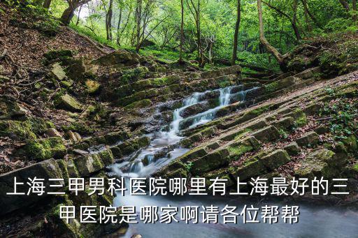 上海三甲男科醫(yī)院哪里有上海最好的三甲醫(yī)院是哪家啊請各位幫幫