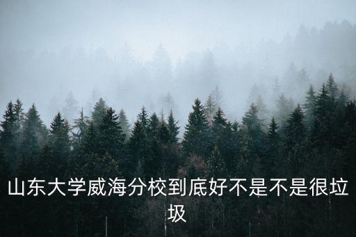 山東大學威海分校,山東大學威海分校招生專業是不是很垃圾?