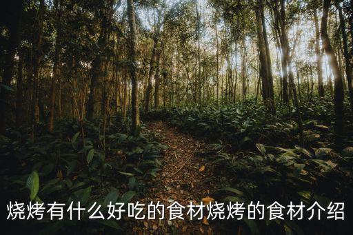燒烤食物,吃燒烤注意事項:食材不要在外面放太久