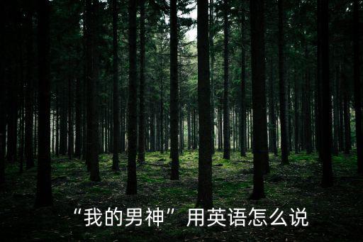 “我的男神”用英語怎么說