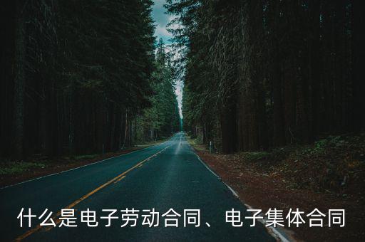 什么是電子勞動合同、電子集體合同