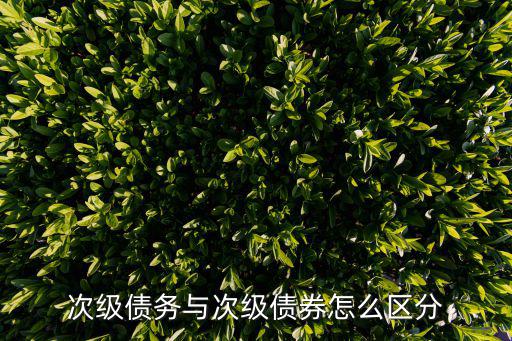 次級債務與次級債券怎么區分