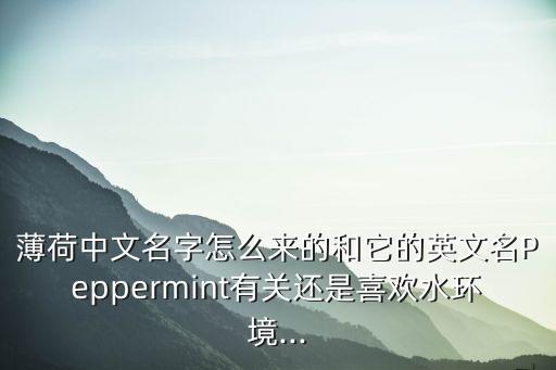 薄荷英文,荷蘭薄荷中文名怎么來?