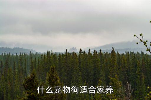 什么寵物狗適合家養