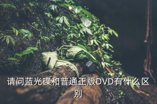 請問藍光碟和普通正版DVD有什么區別