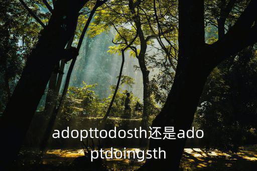 adopttodosth還是adoptdoingsth
