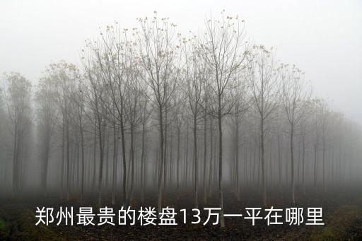 鄭州最貴的樓盤13萬一平在哪里