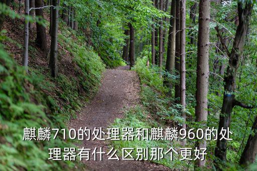麒麟710的處理器和麒麟960的處理器有什么區(qū)別那個(gè)更好