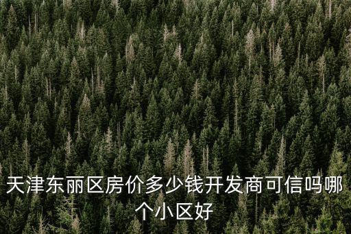 天津東麗區房價多少錢開發商可信嗎哪個小區好