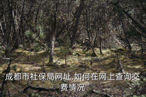 成都市社保局網(wǎng)址,如何在網(wǎng)上查詢交費情況