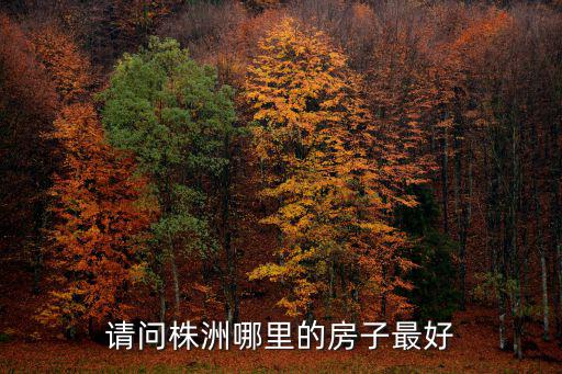 株洲房價哪個地段最好，請問株洲哪里的房子最好