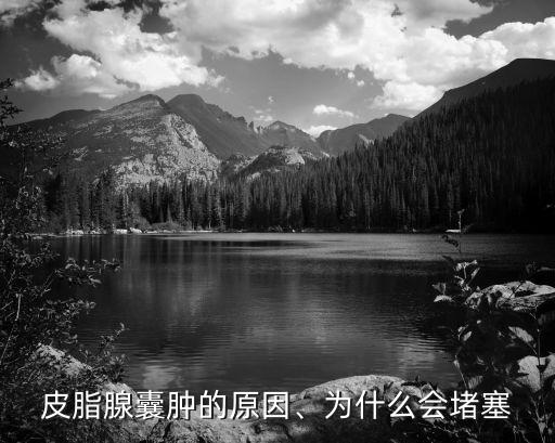 皮脂腺囊腫的原因、為什么會堵塞
