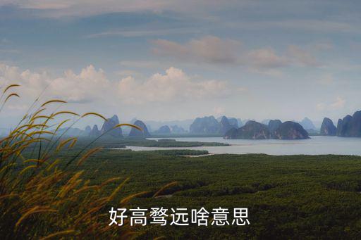 好高騖遠(yuǎn)的意思,高高騖遠(yuǎn)的意思