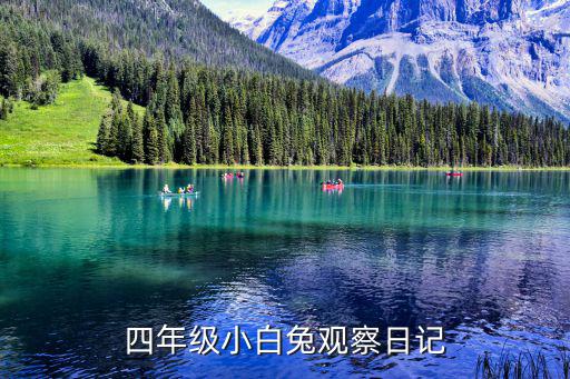 小白兔日記,頑強(qiáng)精神促使兔子這個(gè)大家族經(jīng)久不衰