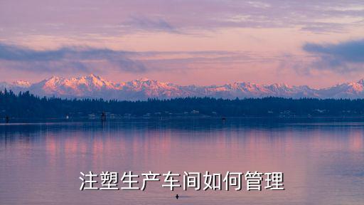 注塑車間管理,如何實(shí)現(xiàn)注塑機(jī)車間可視化管理?
