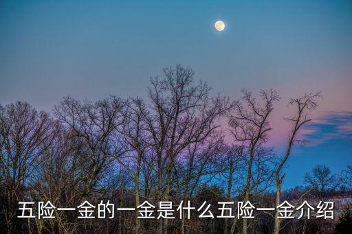 五險一金的一金是什么五險一金介紹